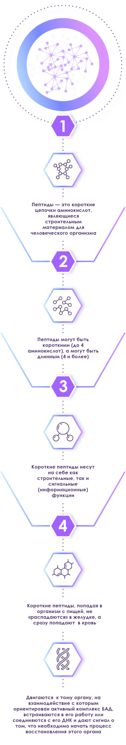пептиды пептиды